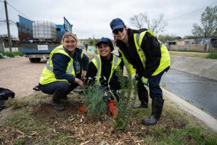 Plantación de flores del programa Mujeres que Reverdecen en el barrio Bajo Valencia