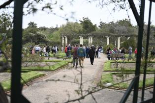 Entrega de esquejes de rosales en el Rosedal del Prado