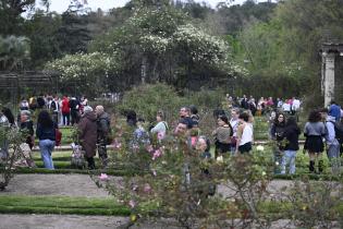 Entrega de esquejes de rosales en el Rosedal del Prado