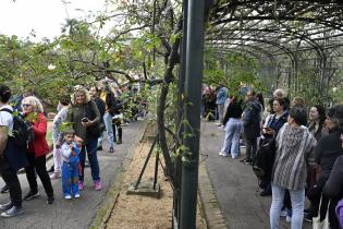 Entrega de esquejes de rosales en el Rosedal del Prado