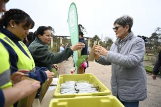 Entrega de esquejes de rosales en el Rosedal del Prado