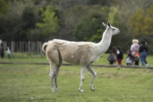 Parque Lecoq