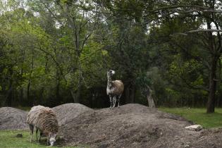 Parque Lecoq