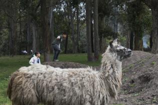 Parque Lecoq