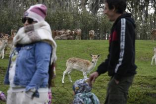 Parque Lecoq Parque Lecoq