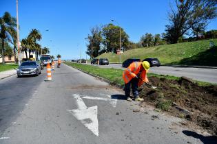 Obras de ampliación de dársena de giro ubicada en Rambla y Juana Pereyra