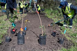 Plantación de flores con participantes del proyecto «Mujeres que Reverdecen» en el arroyo Mendoza