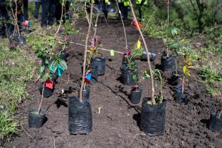 Plantación de flores con participantes del proyecto «Mujeres que Reverdecen» en el arroyo Mendoza Plantación de flores con participantes del proyecto «Mujeres que Reverdecen» en el arroyo Mendoza