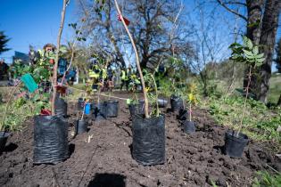 Plantación de flores con participantes del proyecto «Mujeres que Reverdecen» en el arroyo Mendoza Plantación de flores con participantes del proyecto «Mujeres que Reverdecen» en el arroyo Mendoza