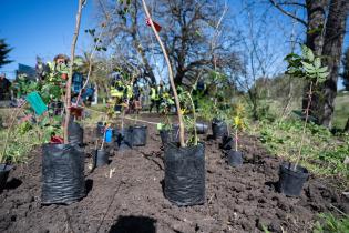 Plantación de flores con participantes del proyecto «Mujeres que Reverdecen» en el arroyo Mendoza