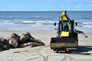 Operativo de CECOED en playa Verde por prevención de gripe aviar Operativo de CECOED en playa Verde por prevención de gripe aviar