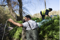  Instalación de biobardas en Camino José Strassner en el marco del proyecto Áreas Liberadas