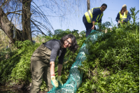  Instalación de biobardas en Camino José Strassner en el marco del proyecto Áreas Liberadas