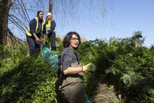  Instalación de biobardas en Camino José Strassner en el marco del proyecto Áreas Liberadas