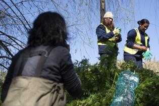  Instalación de biobardas en Camino José Strassner en el marco del proyecto Áreas Liberadas