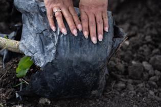 Plantación de flores con participantes del proyecto «Mujeres que Reverdecen» en el arroyo Manga Plantación de flores con participantes del proyecto «Mujeres que Reverdecen» en el arroyo Manga