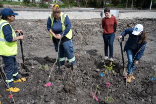 Plantación de flores con participantes del proyecto «Mujeres que Reverdecen» en el arroyo Manga Plantación de flores con participantes del proyecto «Mujeres que Reverdecen» en el arroyo Manga