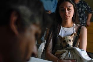 Jornada de vacunación canina en el Club Olimpo