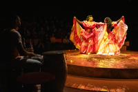  Presentación de « Música y danza en un viaje sensoperceptivo » en el teatro Solís