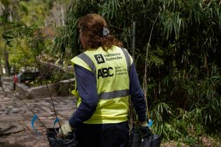 Plantación de bosques urbanos en el Jardín Botánico , 17 de Octubre 2023