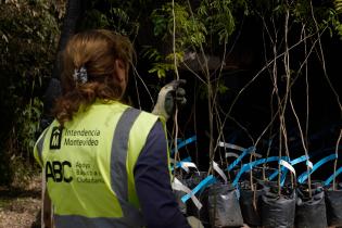 Plantación de bosques urbanos en el Jardín Botánico , 17 de Octubre 2023