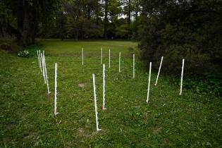 Plantación de bosques urbanos en el Jardín Botánico , 19 de Octubre 2023