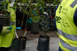 Plantación de bosques urbanos en el Jardín Botánico , 19 de Octubre 2023