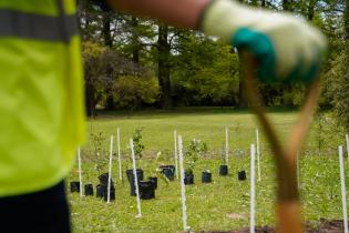 Plantación de bosques urbanos en el Jardín Botánico , 19 de Octubre 2023