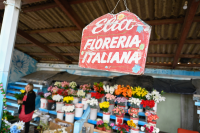 Mercado de flores previo al inicio de las obras , 19 de Octubre 2023