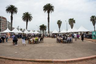 Actividades en la plaza Daniel Muñoz por el día de las plazas