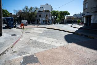 Renaturalización en avenida Bv. España y Obligado