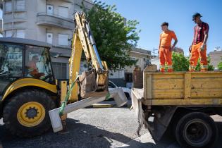 Renaturalización en avenida Bv. España y Obligado