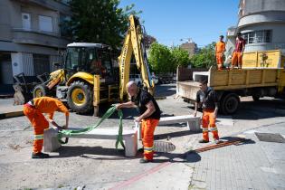 Renaturalización en avenida Bv. España y Obligado