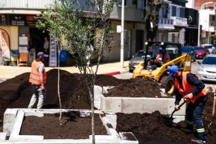 Renaturalización en avenida Bv. España y Obligado ,  07 de noviembre de 2023