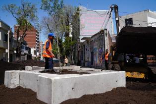 Renaturalización en avenida Bv. España y Obligado ,  07 de noviembre de 2023