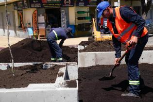 Renaturalización en avenida Bv. España y Obligado ,  07 de noviembre de 2023