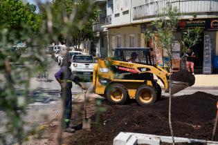 Renaturalización en avenida Bv. España y Obligado