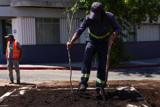 Renaturalización en avenida Bv. España y Obligado