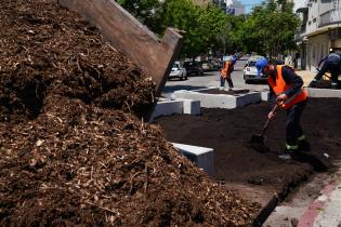 Renaturalización en avenida Bv. España y Obligado