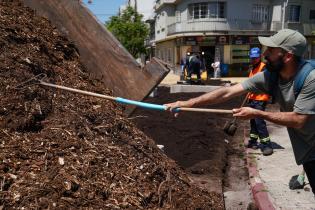 Renaturalización en avenida Bv. España y Obligado