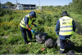 Limpieza de biobardas en el barrio Bajo Valencia Limpieza de biobardas en el barrio Bajo Valencia