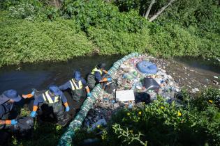 Limpieza de biobardas en el barrio Bajo Valencia