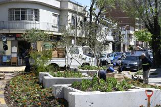 Renaturalización en avenida Bv. España y Obligado Renaturalización en avenida Bv. España y Obligado