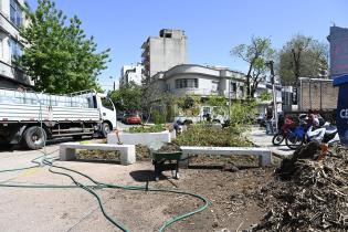 Renaturalización en avenida Bv. España y Obligado 