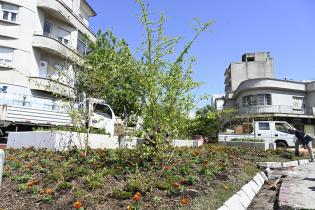Renaturalización en avenida Bv. España y Obligado Renaturalización en avenida Bv. España y Obligado