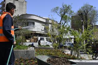Renaturalización en avenida Bv. España y Obligado Renaturalización en avenida Bv. España y Obligado
