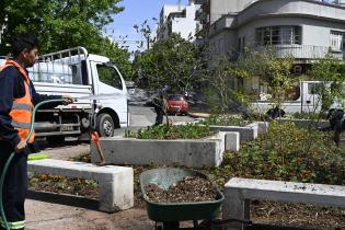 Renaturalización en avenida Bv. España y Obligado 