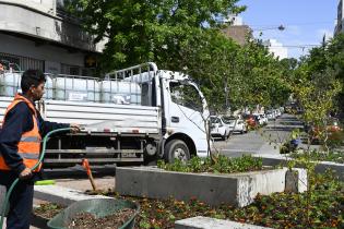 Renaturalización en avenida Bv. España y Obligado 