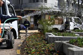 Renaturalización en avenida Bv. España y Obligado 