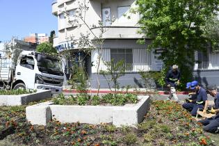 Renaturalización en avenida Bv. España y Obligado 